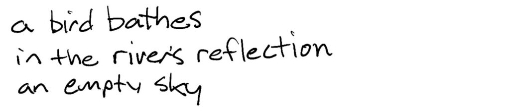 Haiku; a bird bathes/in the river reflection/an empty sky
