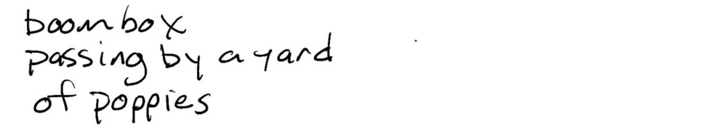 Haiku; boombox/passing by our yard/of poppies