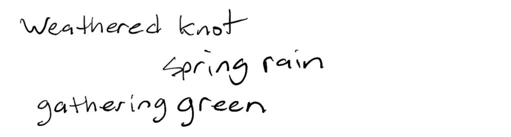Haiku; weathered knot/spring rain/gathering green