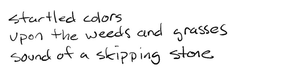 Haiku; startled color/ upon the weeds and grasses/sound of skipping stone
