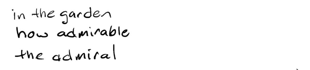 Haiku; in the garden/how admirable/the admiral