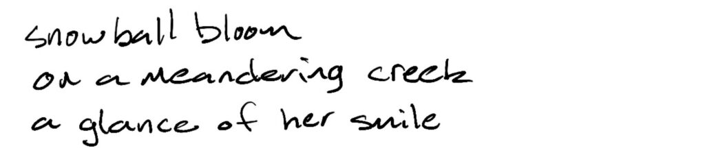 Haiku; snowball bloom/on meandering creek/s glance of her smile