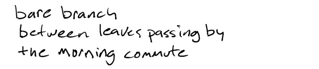 Haiku; bare branch/between leaves passing by/the morning commute