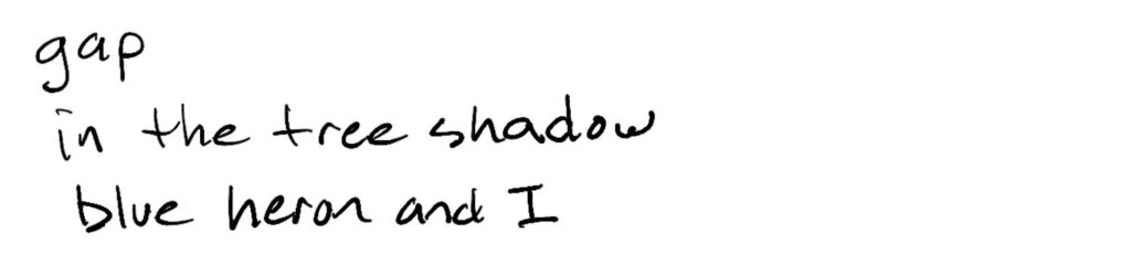 haiku; gap/in the tree shadow/blue heron and I