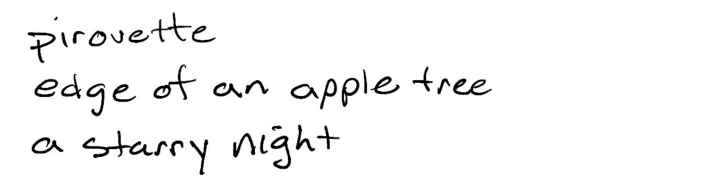 Haiku; pirouette/edge of an apple tree/a starry night