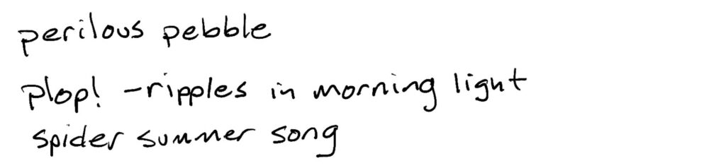 Haiku; perilous pebble/plop! —ripples in morning light/spider summer song