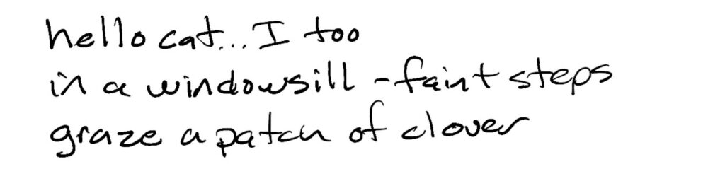 Haiku; hello cat… I too/in a windowsill – faint steps/graze a patch of clover