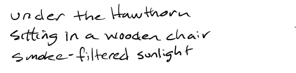 Under the Hawthorne/sitting in a wooden chair/smoke-filtered sunlight