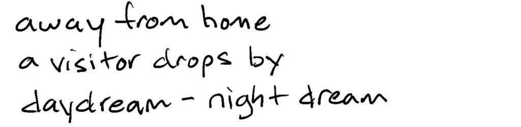 away from home/a visitor drops by/daydream – night dream