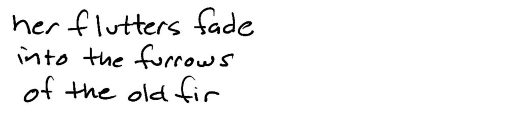 Her flutters fade/into the furrows/of the fir