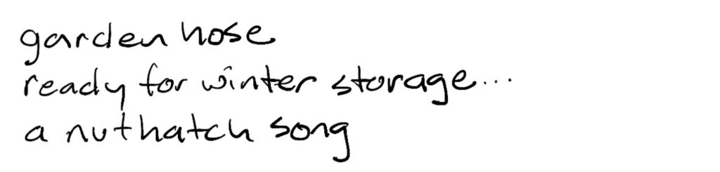 Garden hose/ready for winter storage…/a nuthatch song