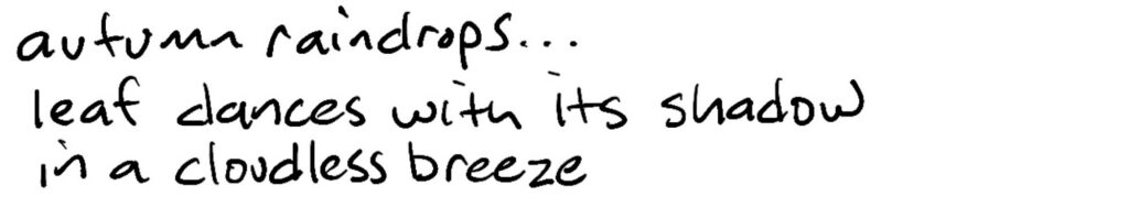 Autumn raindrops…/leaf dances with its shadow/in a cloudless breeze