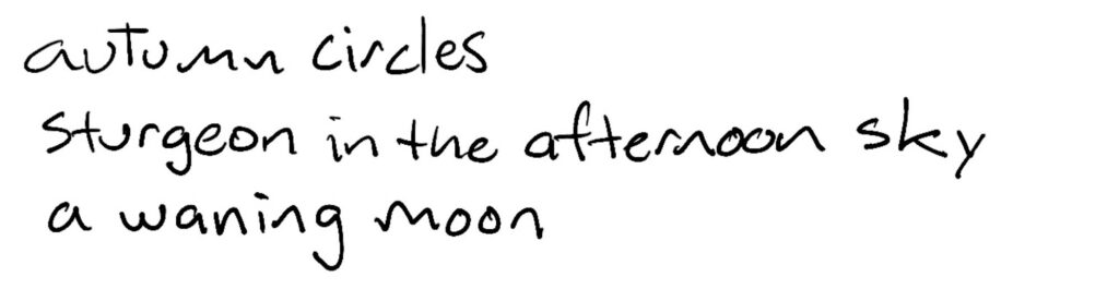 autumn circles/sturgeon in an afternoon sky/a waining moon