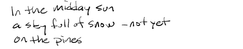 In the midday sun/the sky full of snow – not yet/on the pines