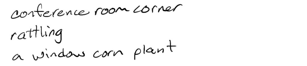 Conference room corner/rattling/window corn plant