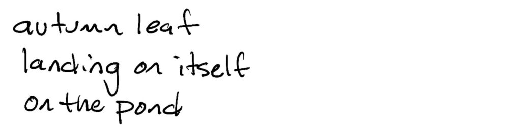 Autumn leaf/landing on itself/on the pond