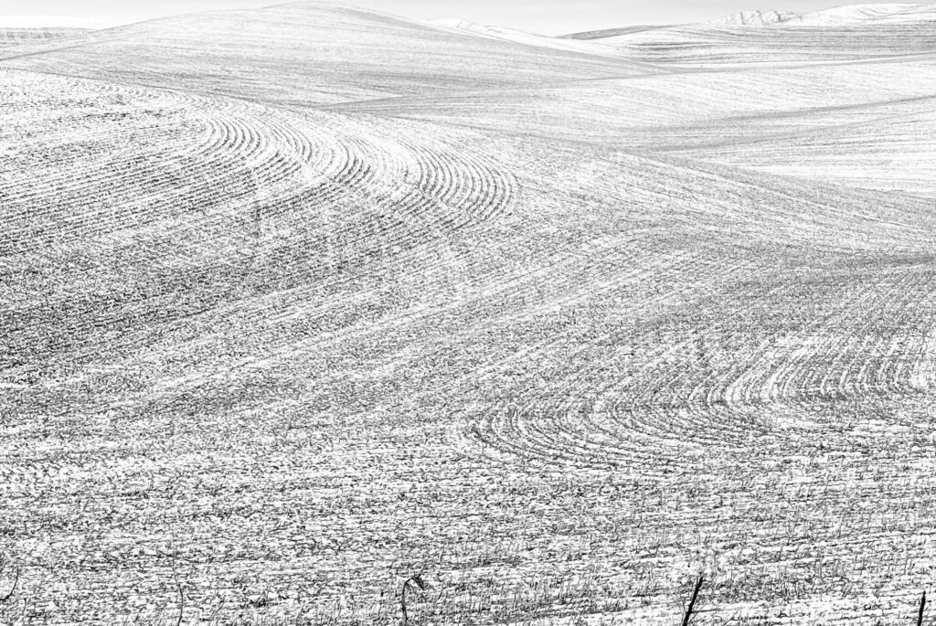Black and White photograph of a plowed Palouse field with a dusting of snow. The different plow marks appear like ripples on water.
