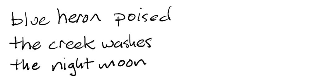 blue heron poised/the creek washes/the night moon