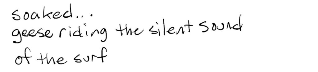 soaked…/geese riding the silent sound/of the surf