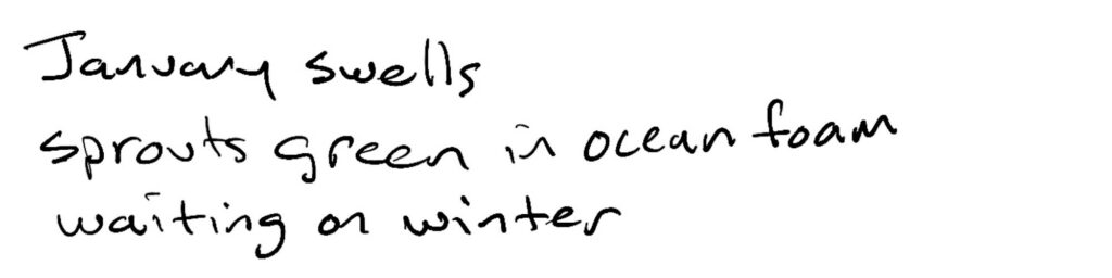 January swells/sprouts green in ocean foam/waiting on winter