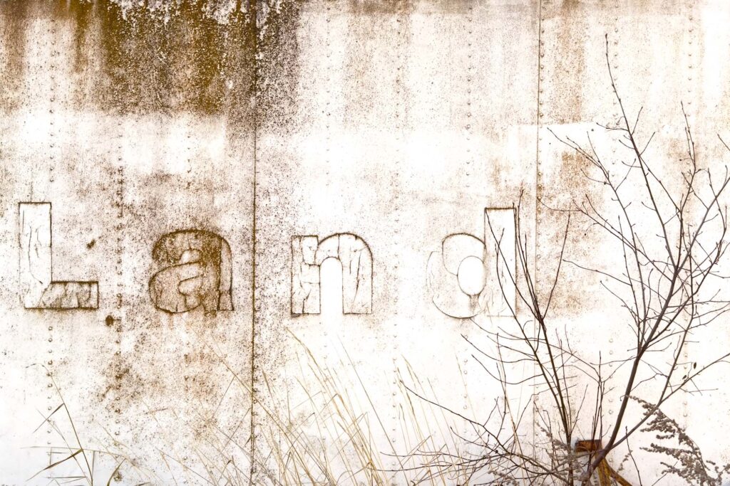 Photograph of a rusted and weathered white shipping container with the word “LAND’ and a bush with bare branches on the left growing in front of it.
