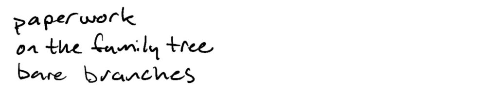 paperwork/on the family tree/ bare branches