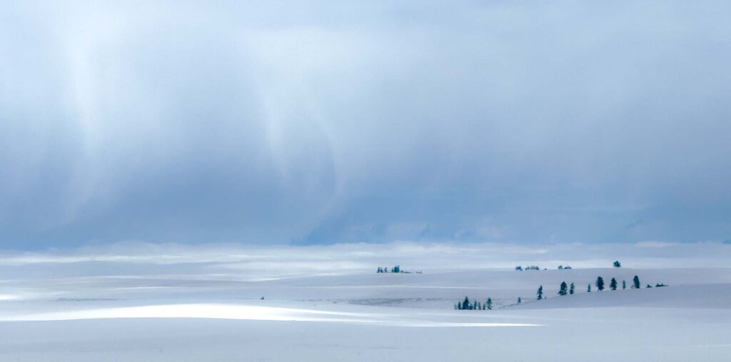 Photograph of a snow covered prairie with spots of sun and storm clouds riding up in the distance at the prairies edge.