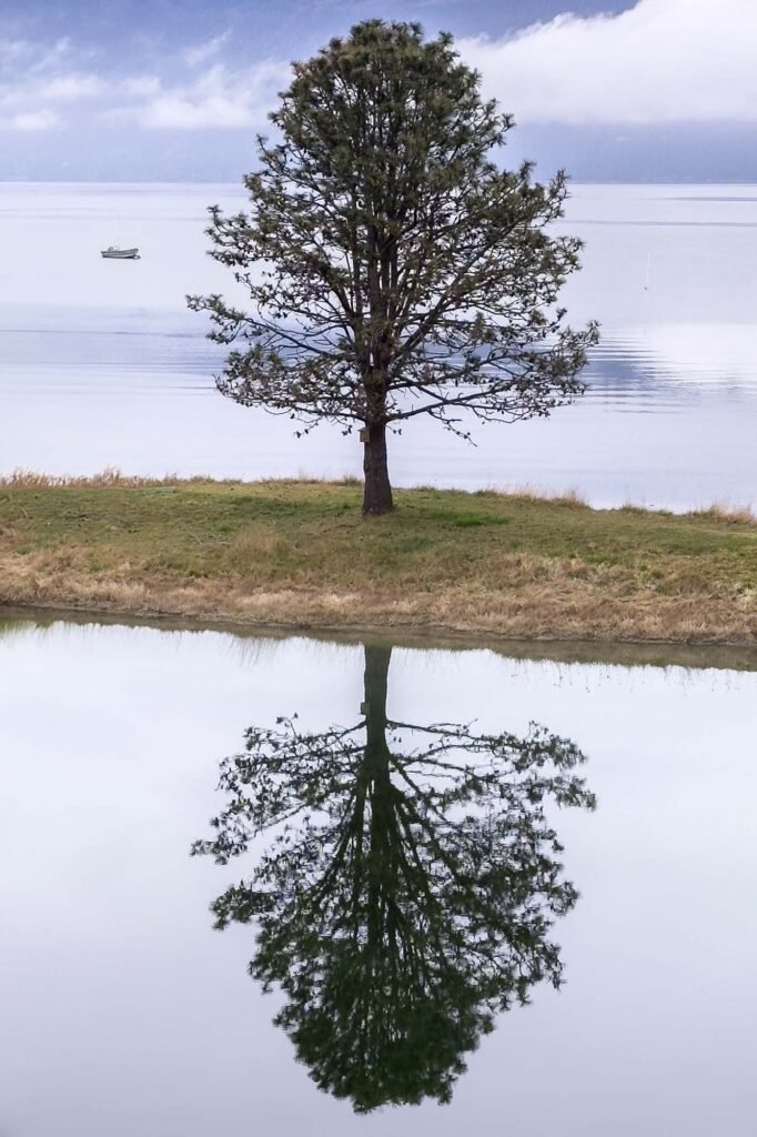 Photograph of a tree growing on a strip of land between the bay and a pond with a tree that is reflected in the still water of the pond. There is a boat moored out in the bay. There is a line of clouds in front of the mountains across the bay.