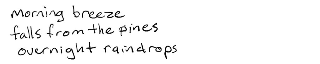 morning breeze/falls from the pines/overnight raindrops