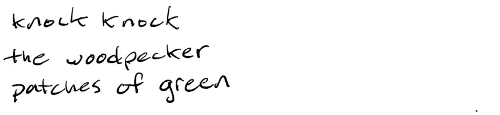 Knock knock/the woodpecker/patches of green
