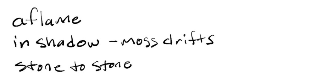 aflame/in shadow –moss drifts/stone stone