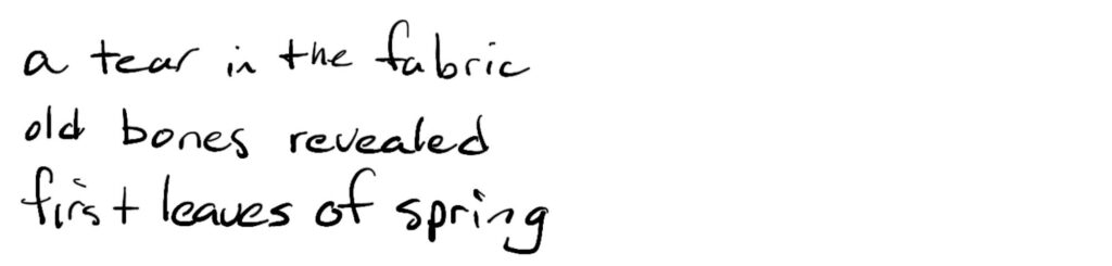 a tear in the fabric/old bones revealed/first leaves of spring