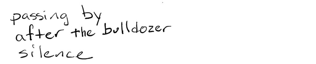 passing by/after the bulldozer/silence