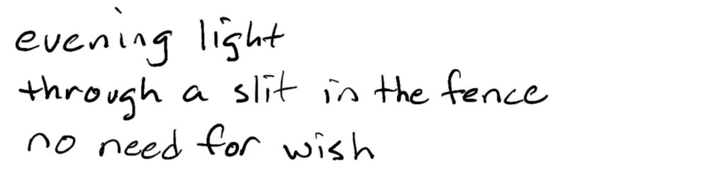 Evening light/through a slit in the fence/no need for a wish