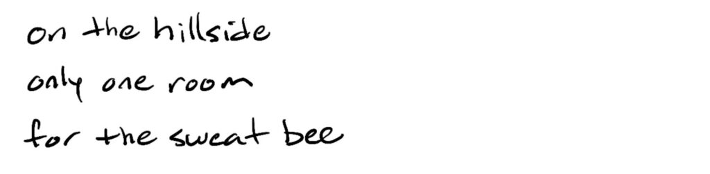 on the hillside/only one room/for the sweat bee