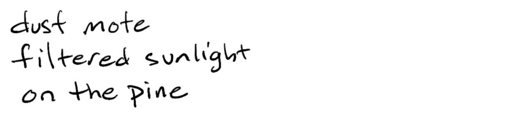 dust mote/filtered sunlight/on the pine