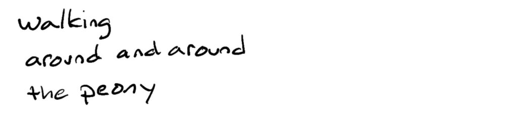 walking/around and around/the peony