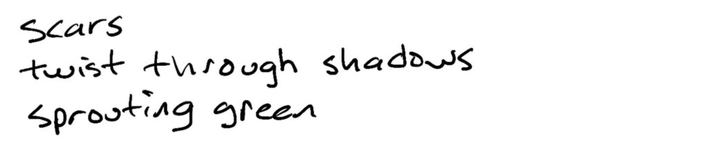scars/twist through shadows/sprouting green