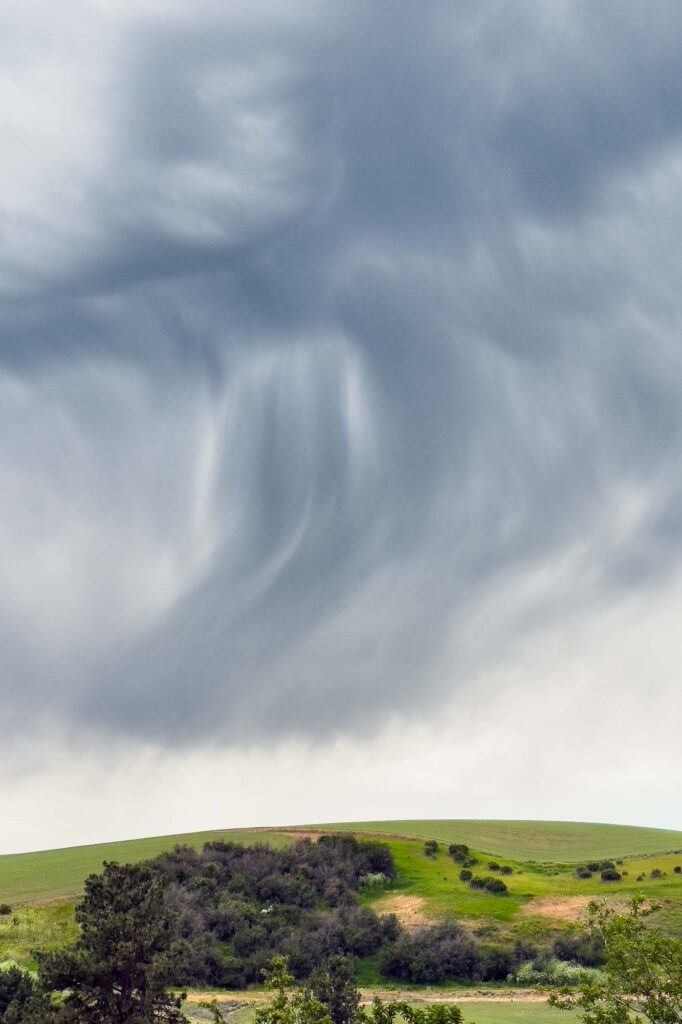Above the draw a flowing rain cloud over a Palouse field of young spring wheat