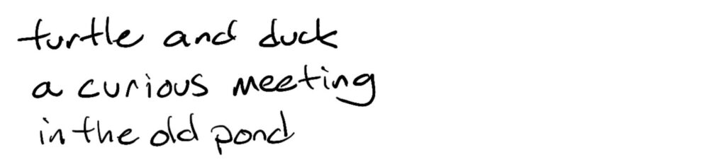 turtle and duck/a curious meeting/in the old pond