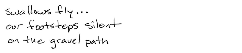 swallows fly…/our footsteps silent/on the gravel path