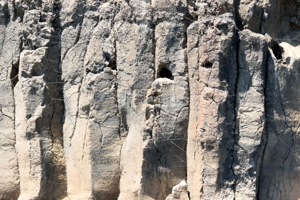 Color photograph of nine basalt columns with small holes at the top of six of the columns.