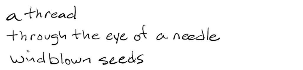a thread/through the eye of the needle/wind blown seeds