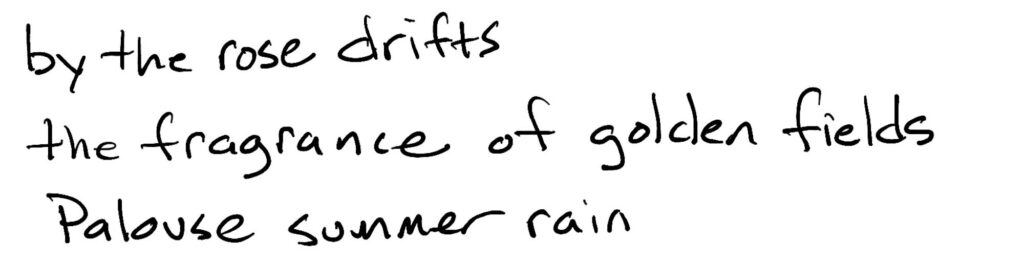by the rose drifts/the fragrance of golden fields/ Palouse summer rain