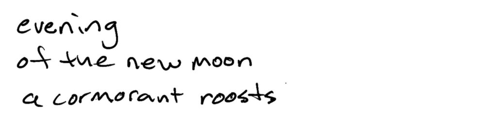 evening/of the new moon/a cormorant roosts