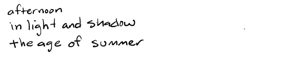 afternoon/in light and shadow/the age of summer