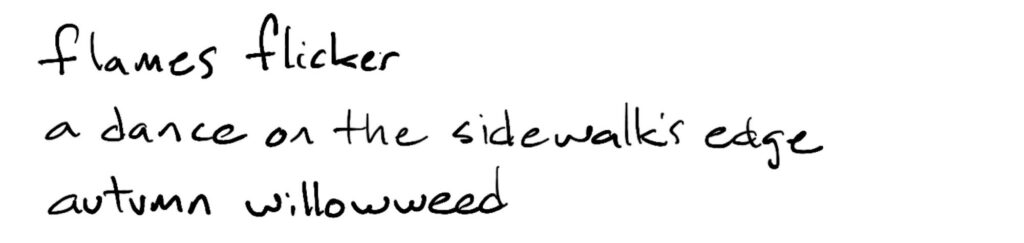 flames flicker/a dance on the sidewalk’s edge/autumn willowweed