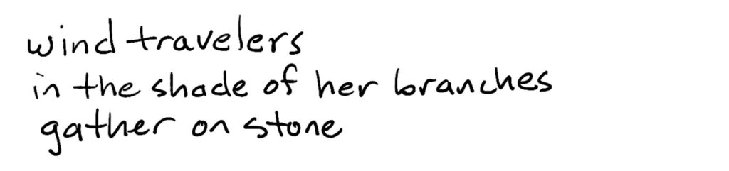 wind travelers/in the shade of her branches/gather on stone