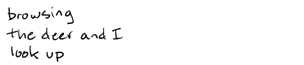 Browsing/the deer and I/look up