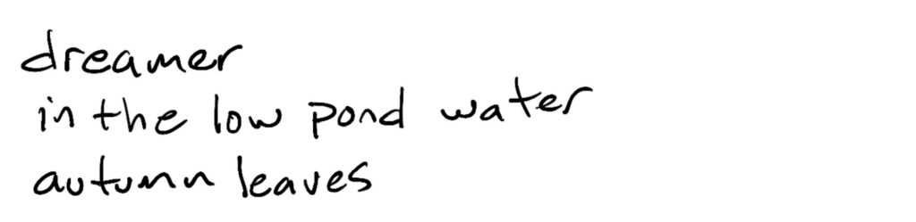 dreamer/in the low pond water/autumn leaves